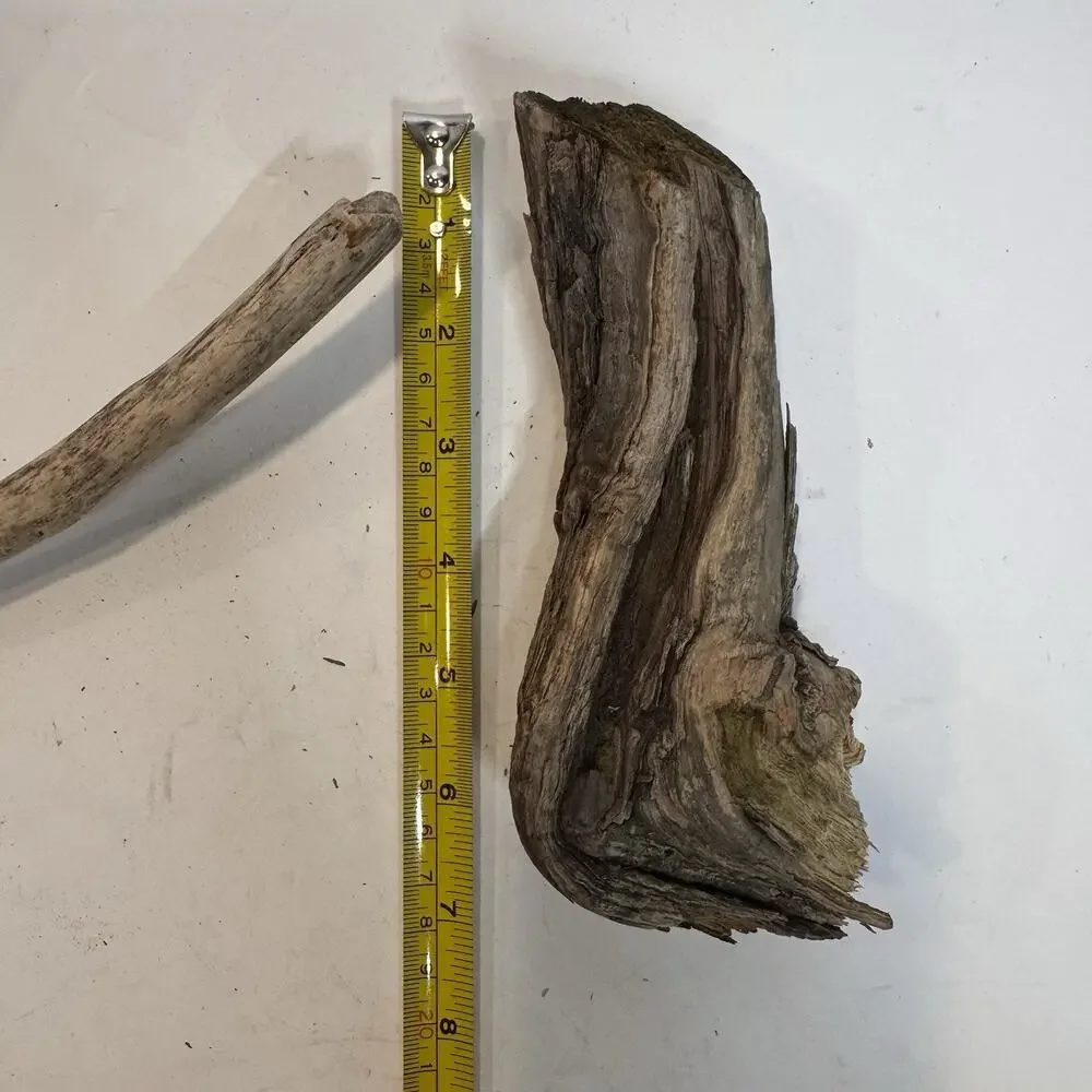 Driftwood 3 Piece Lot Natural Aquarium Terrarium Beach Decor Taxidermy Y Shaped